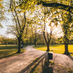 Nová aplikace EPU - objevte klidné kouty národních parků