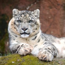 Plzeňská zoo láká na novinky