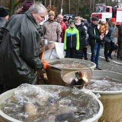 Stromky a kapři opět u Košináře od 6. prosince