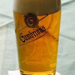 Gambrinus den v Plzni