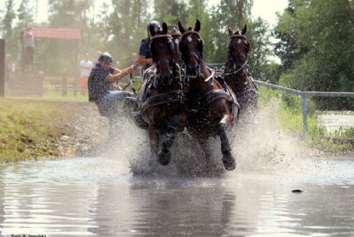 Foto: Závody koňských spřežení v Nebanicích u Chebu letos ve velkém stylu