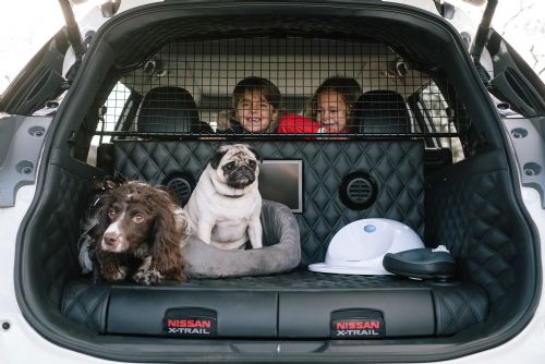 Foto: Nissan X-Trail 4Dogs: dokonalý vůz pro rodinné výlety se psím miláčkem