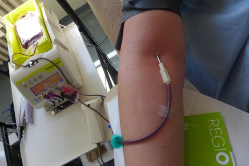 Foto: Transfuzní oddělení FN Plzeň se opět potýká s nedostatkem dárců krve