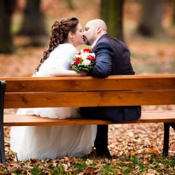 Snoubenci v Plzni si mohou termín svatby vybrat on-line