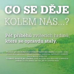 Záchranná stanice živočichů Plzeň vám prodá krásný vánoční dárek!