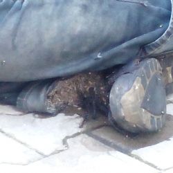 V Tachově zřejmě umrzl bezdomovec