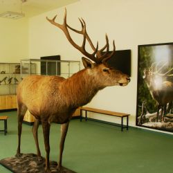 Budování Environmentálního centra v Železné Rudě je u konce. Expozice se budou nadále rozvíjet 