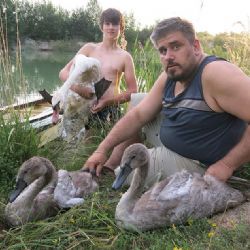 Bývalá pískovna mezi Vejprnicemi a Tlučnou se mění ve smetiště