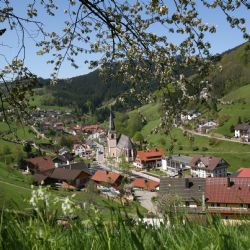 Čechy dosud neobjevené nejkrásnější turistické trasy Německa se skrývají ve Schwarzwaldu