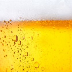 Chříč chystá na příští sobotu Křič Fest, oslavu chráněného pivovaru