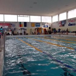 Plzeň podpoří sportovní akademie, klub Radbuza i bývalé olympioniky 