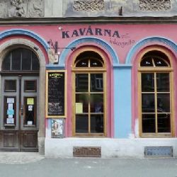 Čtvrteční bezplatné projekce v Inkognitu uzavře Syrská love story