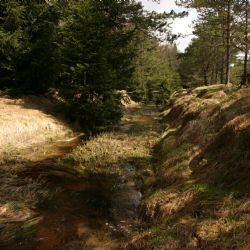 Čtvrtstoletí Národního parku Šumava – Revitalizace mokřadů zmírňují dopady klimatických změn 