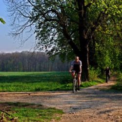 Korejský cyklista u Semošic stanoval u silnice