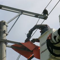 Energetici zabezpečili vedení u Neblažova. Ptáci jsou ve větším bezpečí 