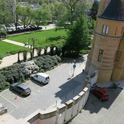 Kachny v Plzni hnízdí na hotelu Continental