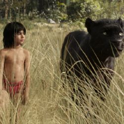 Kino Beseda v červnu uvede divácky nejnavštěvovanější filmy za snížené vstupné 69 korun 