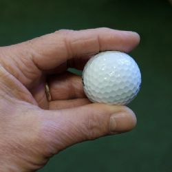 Klatovští policisté hledají majitele bagu s golfovými holemi