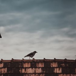 Druhá vlna kotlíkových dotací odstartuje na konci října