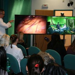 Lékaři ve Fakultní nemocnici Plzeň operují s pomocí 3D technologie