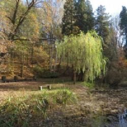 Lobezský park by se mohl dočkat obnovy 