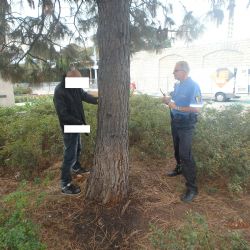 Muž z Poličky byl poprvé v Plzni: Opil se, močil před strážníky a skončil na záchytce