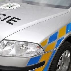 Policisté na Holýšovsku kontrolovali problémové lidi