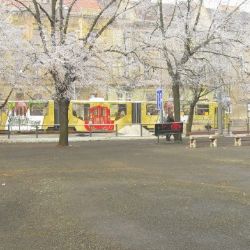 Na náměstí Míru v Plzni odhalí na státní svátek pomník