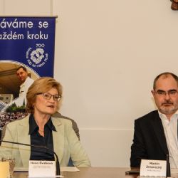 Nadace 700 let města Plzně nabídne tradiční projekty, ale i novou akci - zpřístupňování dvorků 