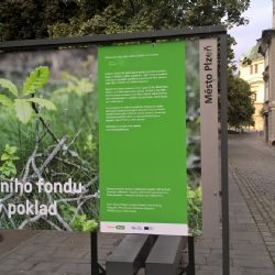 Nadace Zelený poklad vystavuje v sadech. Už 20 let chrání životní prostředí v Plzni 