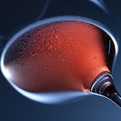 Páteční a sobotní výstavu v Plzni spojují poruchy příjmu potravy