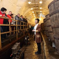 Pilsner Fest zve do pivovaru v sobotu 1. října. Zahrají Chinaski, zazpívá Miro Žbirka a mnozí další