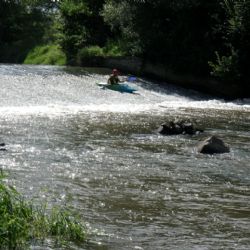 Plzeň chce pokračovat v monitoringu Úhlavy, svého hlavního zdroje pitné vody  