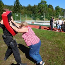 Plzeň odzkoušela pilotní projekt Nedám se!, cílí na seniory ve věku nad 60 let  