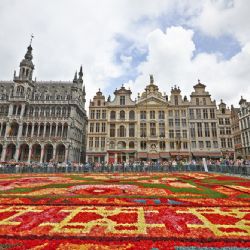 Plzeňáci v Bruselu zažívají strach