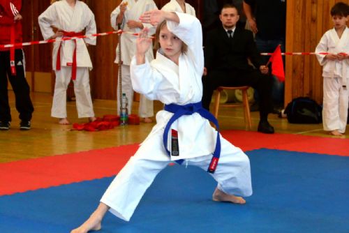 Foto: Narama pořádala finále Krajské ligy mládeže v karate