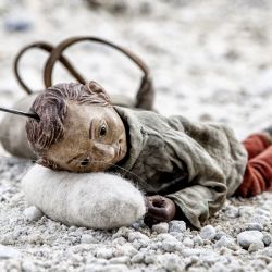 První projekce v Plzni. Finále zve na premiéry filmů