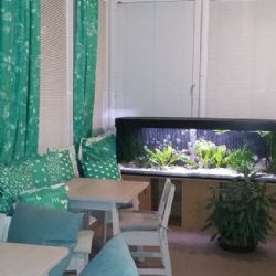 Plzeňský Hospic svatého Lazara zrekonstruoval své prostory 