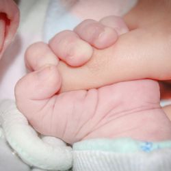 Nejmenší a největší miminko v krajských nemocnicích dělilo 4,5 kg