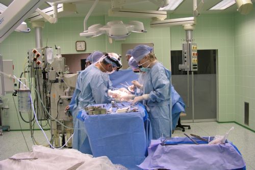 Foto: Plzeňští chirurgové mají za sebou více než 1000 operací jater 