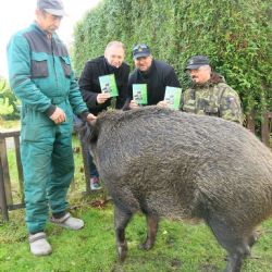 Plzeňští zvířecí záchranáři vydávají DVD Co se děje kolem nás...? 