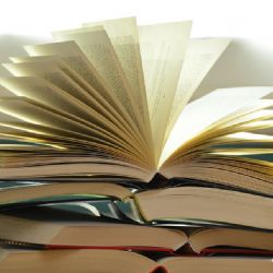 Podporu Plzně na umělecké a kulturní projekty pro rok 2016 získají desítky subjektů. Třeba Noc literatury 