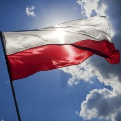 Polské dny v Plzni zvou od čtvrtka na literaturu, film i hudbu 