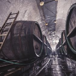 Prazdroj loni přilákal do Plzně přes 600 tisíc lidí, letos to bude v kulturním roce ještě víc 
