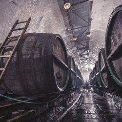 Prazdroj v pondělí slavnostně vypraví velikonoční várku Pilsner Urquell do Vatikánu