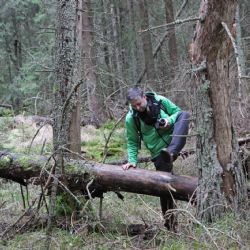 NP Šumava spouští rezervace na výpravy do divočiny 