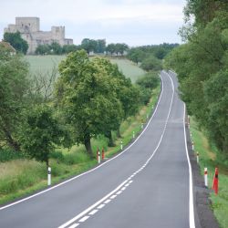 V Plzeňském kraji ubývá stromů u silnic