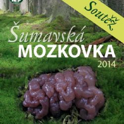 Nejlepší článek v soutěži Šumavská mozkovka získá odměnu - houbu mozkovku