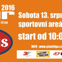 Sportovní areál Rapid Plzeň bude v sobotu patřit dětem a handicapovaným sportovcům 