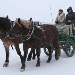 Správa NP Šumava rozšiřuje nabídku pro veřejnost o jízdy v kočáru